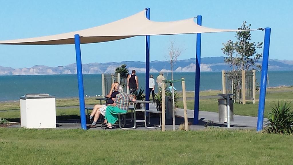 海滨汽车旅馆 纳皮尔 外观 照片